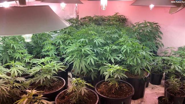 Indoor cultivation of cannabis is energy intensive and often require generators. Picture: NSW Police.