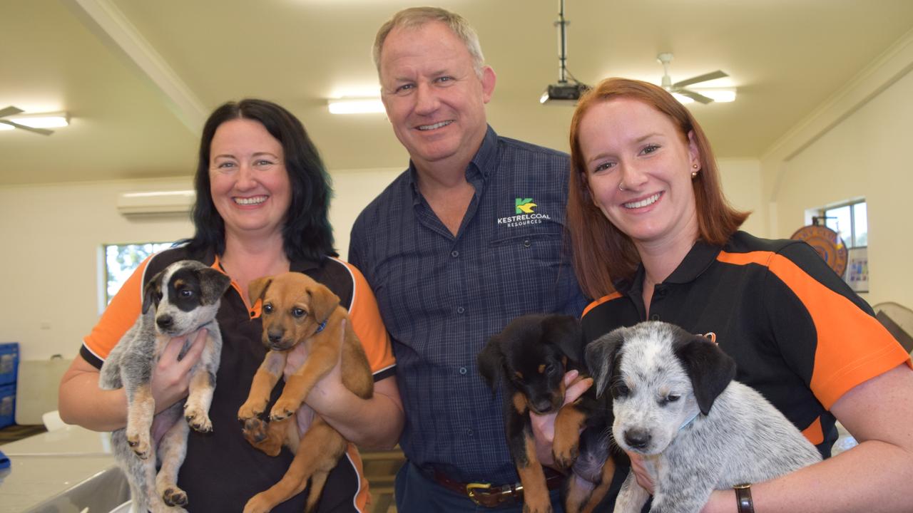 CQ Pet Rescue was one of four Central Highlands organisations that directly benefited from a $20,000 donation from Kestrel Coal in 2020.