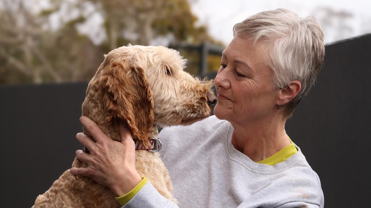 RSPCA labradoodle rescue boosted by donations | Daily Telegraph