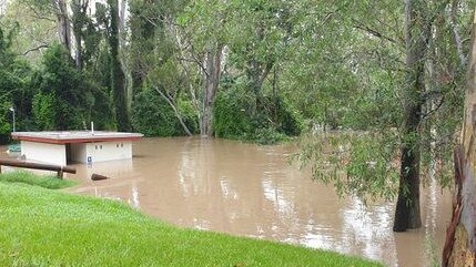 The Mary River in flood at Petrie Park, Tiaro on January 9, 2022. PICTURE: Bronwyn Phillips.