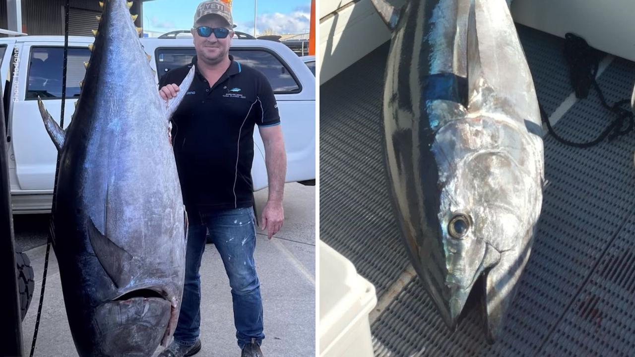 Victoria's Massive Bluefin Tuna - Hooked Up Magazine