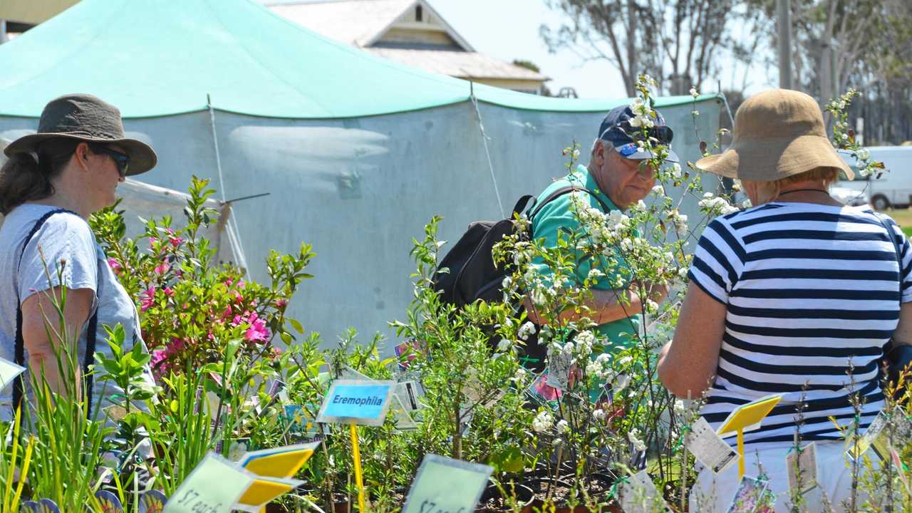 Your guide to the Wondai Autumn Garden Expo The Courier Mail