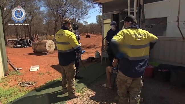 Man Charged After Cannabis Plants Worth More Than $6 Million Seized ...