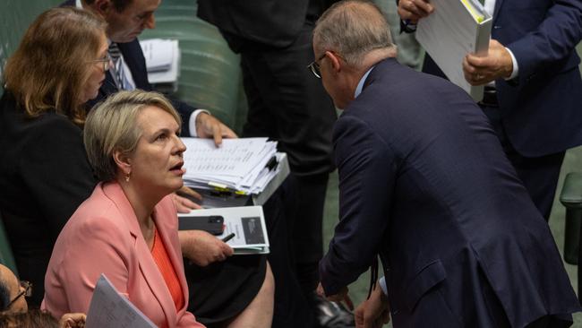 Tanya Plibersek, who was sworn into parliament in 1998, said the environment had changed significantly. Picture: NCA NewsWire / Gary Ramage