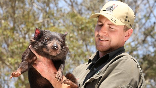 Tasmanian Devil Mary