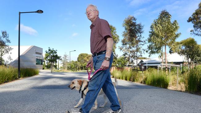 Brenton Cornish walks through the area around Ragamuffin Drive most mornings, with his dog Michelle. Picture: Roger Wyman