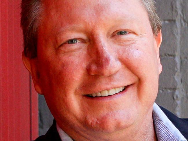 Andrew Forrest. Andrew Forrest's plan for a 100-year agricultural partnership between Australia and China. Photo: Renee Nowytarger