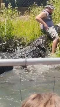 Man almost gets eaten by alligator