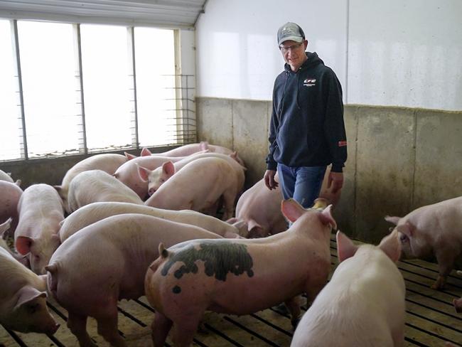 Farmer Jeff Rehder stands to lose potential revenue on his pigs after China threatened to hit US products, including pork, with a 25 per cent charge. Picture: Nati Harnik/AP