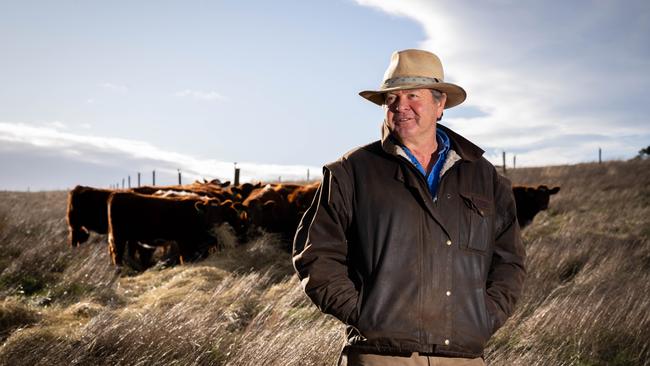 Cattle Farmer Nick Simpson, with some cattle on his farm in Bugle Ranges, South Australia, The Advertiser/ Morgan Sette