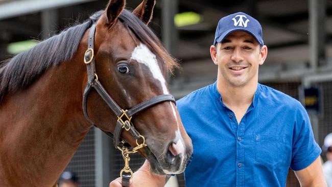 Billy Slater is headed to Coffs for the first ever national banana day.