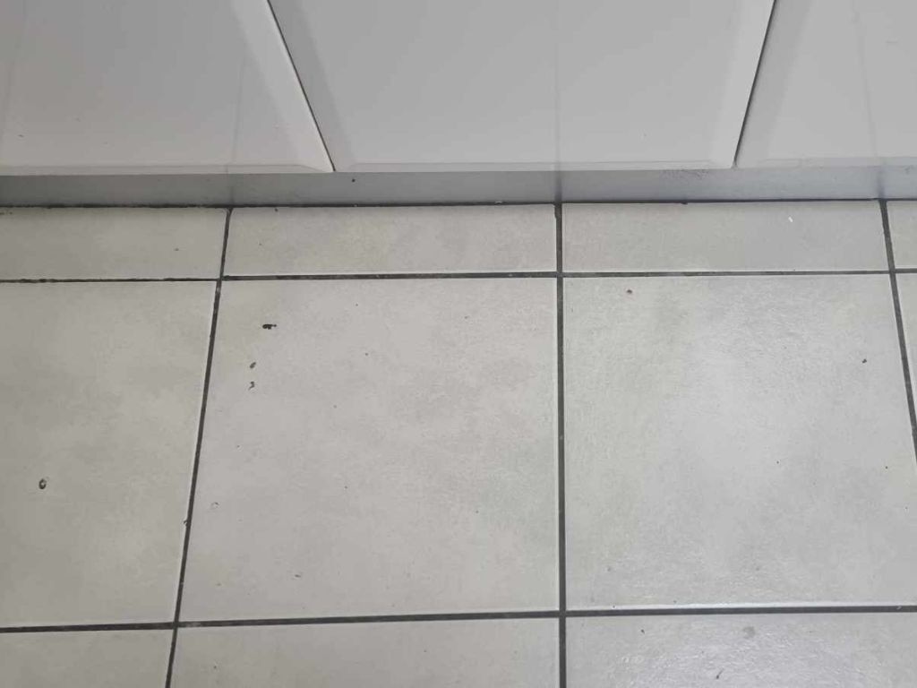 Tiles before cleaning with the Shark Steam Mop. Picture: Tahnee-Jae Lopez-Vito/news.com.au.