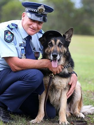 Bosun the wonder dog with Police dog handler Senior Constable Wayne Algie outside Mudgeeraba Police Station after AustraliaÕs most decorated police dog, an eight-and-a-half year old German Shepherd,was presented with the Australian Defence Force Service Medal.