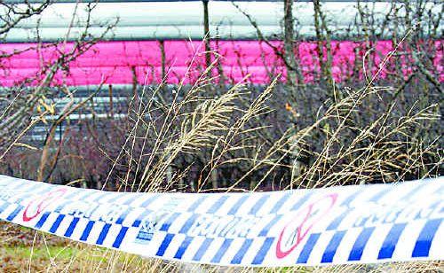 Zoeie Charro Makylev’s body was found in long grass near an orchard on Tennant Road on August 30, 2006. She had no other family in Australia, with her mother residing in Italy. Picture: Stanthorpe Border Post