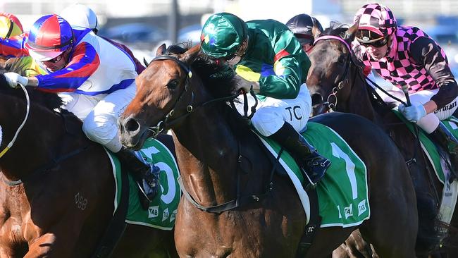 Alligator Blood is a big hope in the Stradbroke Handicap. Picture: Grant Peters-Trackside Photography