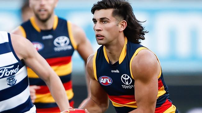 The Crows are eyeing finals. Picture: Dylan Burns/AFL Photos via Getty Images)