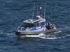 Killer shark hunt sparks beach closures