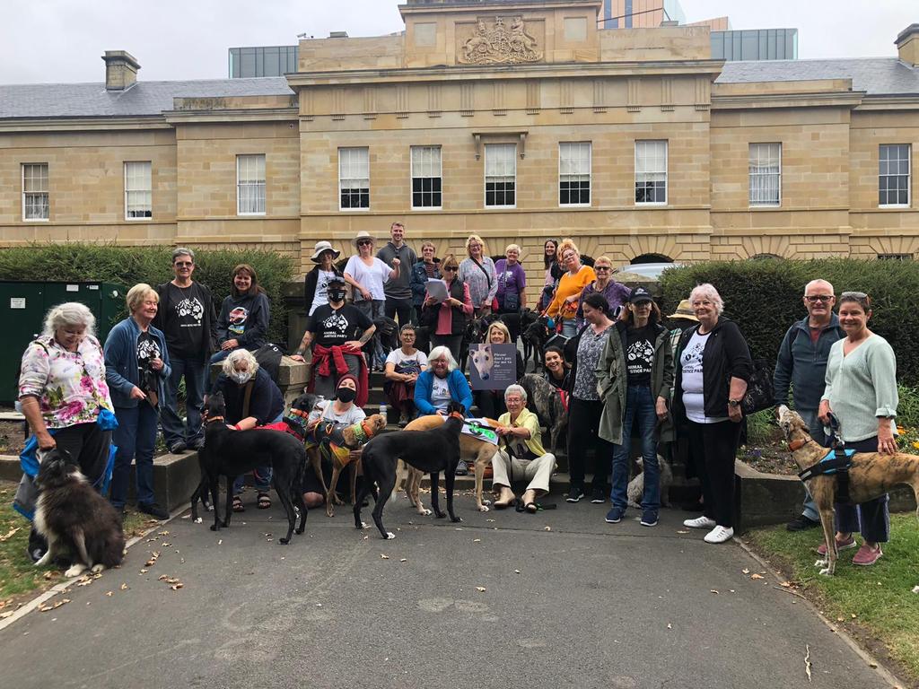 Greyhound Racing Tasmania: Petition To End Funding Breaks Record 