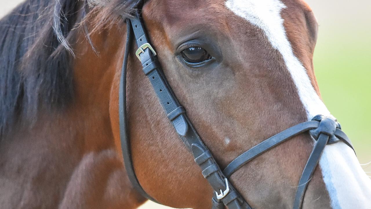 Werribee trackwork