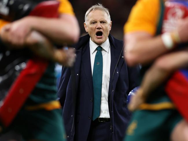 Joe Schmidt has done a stellar job so far with the Wallabies. Picture: Getty