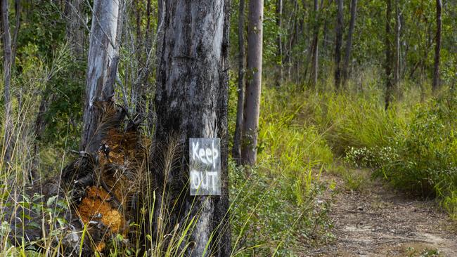 Bushland on Jacko Place, site of the proposed Pine Valley estate. Picture: Renae Droop