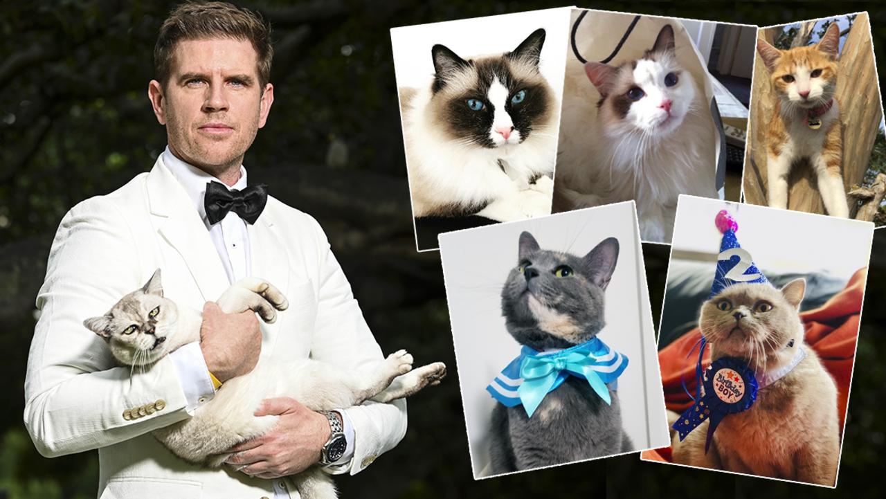 Sunrise weather presenter Sam Mac and his cat Miss Coco for Meow 100 series. Sam and Miss Coco in Hyde park they love to look stylish together. She is a Burmilla. (half Burmese half Chin chills breed.) Picture's Darren Leigh Roberts