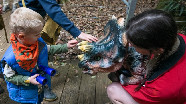 Meet dinosaurs at Scenic World.