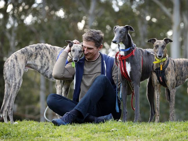 WEEKEND TELEGRAPH - 25/7/23MUST NOT PUBLISH BEFORE CLEARING WITH PIC EDITOR - Matt Tirpak pictured with his 3 rescue greyhoundÃs in Marsfield this afternoon. Picture: Sam Ruttyn