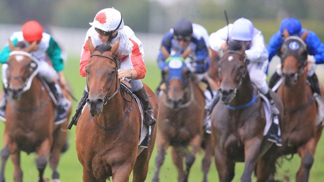 Astronomos has a great record at Randwick. Picture: Jenny Evans
