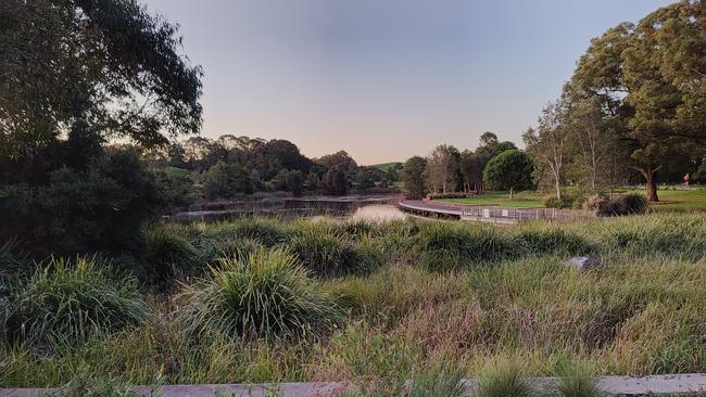 Grasslands at Sydney Park, Alexandria.