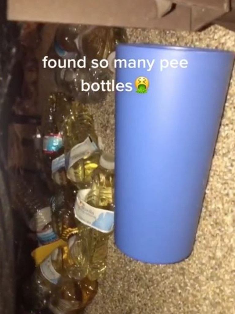 Woman Discovers Bottles Full Of Pee In Sister’s Bedroom Daily Telegraph