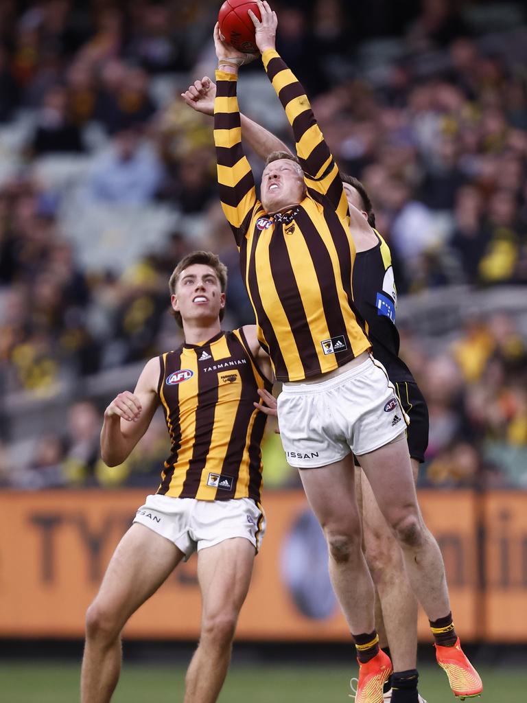 James Sicily enjoyed a superb year for Hawthorn.