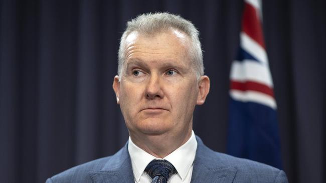 Employment and Workplace Relations Minister Tony Burke. Picture: NCA NewsWire / Gary Ramage