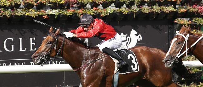 Jockey Jag Guthmann-Chester rides Desert Man to victory in race 7, the Gollan Racing Class 3 Plate, during Eagle Farm Race Day at Eagle Farm Racecourse on December 22, 2018. It was the first race meet back at Eagle Farm after a long absence. (AAP Image/Tertius Pickard)