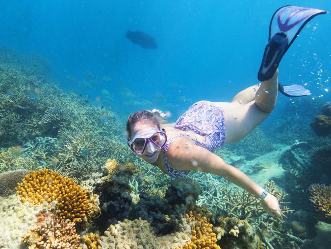 Crystal Lacey 28, from Airlie Beach explores Hardy Reef in the Whitsundays. Picture: Lachie Millard