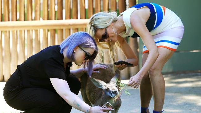 Australia's Got Talent judge Kelly Osbourne and fellow judge Sophie Monk take a selfie with a kangaroo on their phone at Taronga Zoo during a promotional visit for the reality TV show in February. Picture: Toby Zerna