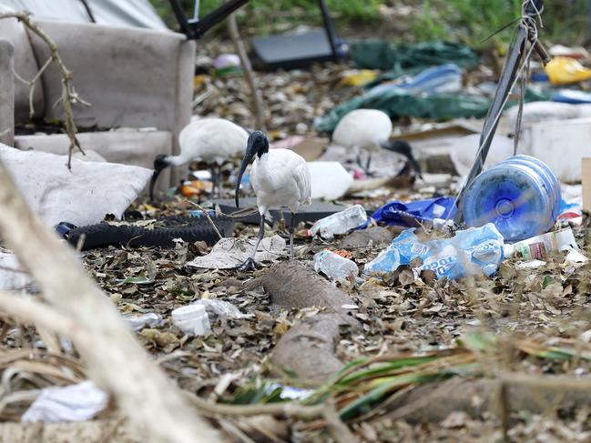 Residents had expressed disgust at the state of the campsite. Picture: Josh Woning