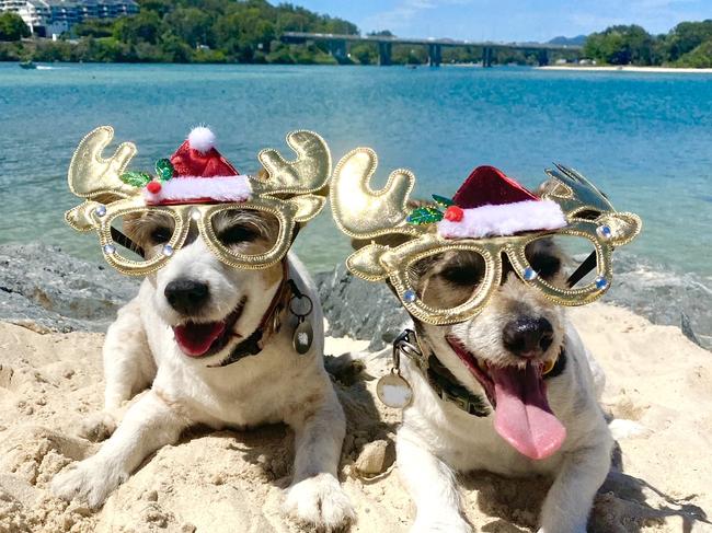 The Gold Coast can expect a hot and humid Christmas Day, with the likelihood of some showers. Picture: iStock.