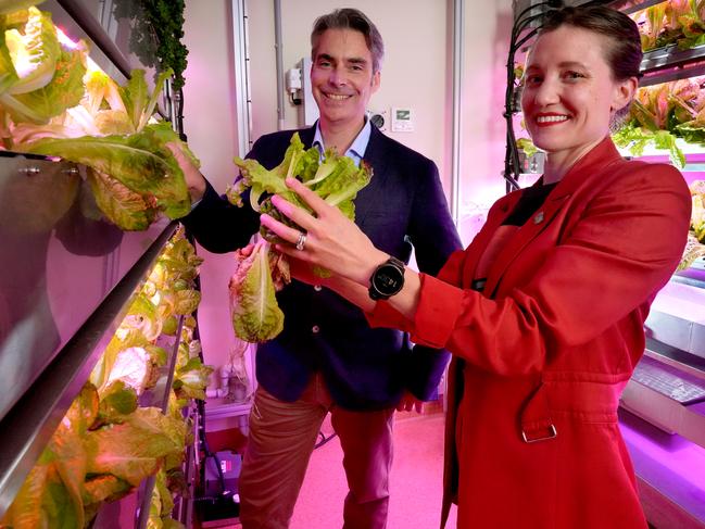 Dr Lieke Van Der Hulst with plants being grown at the Space Plant Centre, new $90m centre of excellence working with NASA to grow a garden on the moon in 2026. Finding plants that can grow and feed humans in space and on the moon. Dr Lieke Van Der Hulst and Professor Matthew Gilliham with some of the lettuces grown for NASA. 5 November 2024. Picture: Dean Martin