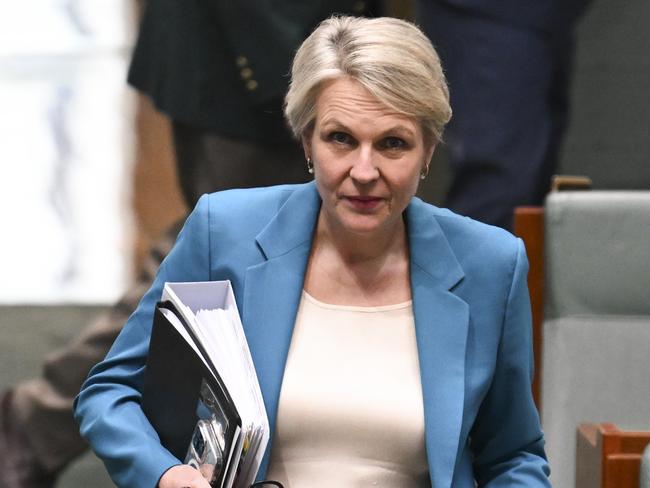 CANBERRA, AUSTRALIA  - NewsWire Photos - November 21, 2024: Minister for the Environment and Water of Australia, Tanya Plibersek during Question Time at Parliament House in Canberra. Picture: NewsWire / Martin Ollman