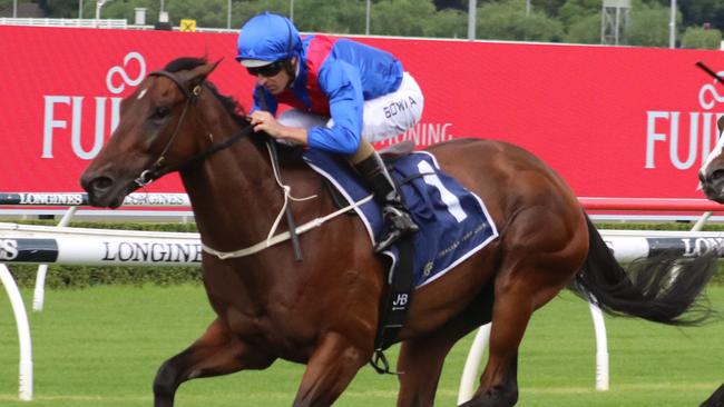 After missing the Everest with a minor issue, Lost And Running can bounce back in the Sydney Stakes. Picture: Grant Guy