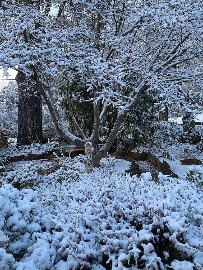 Tiffany Dunk shared this picture of the snow covered