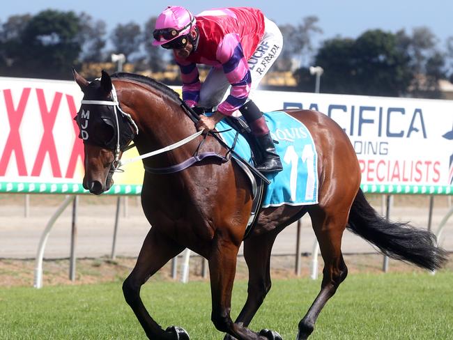 Gold Coast Turf Club race meeting, featuring two major lead in races to the Magic Millions.Photo of race 6. Number 11 BADOOSH.Jockey is Robbie Fradd.Photo by Richard Gosling