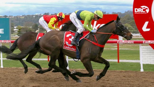 Kaliuwaa Falls won an Open Handicap in September, with connections deciding on a Devonport Cup campaign after that win. Photo: Bill Hayes.