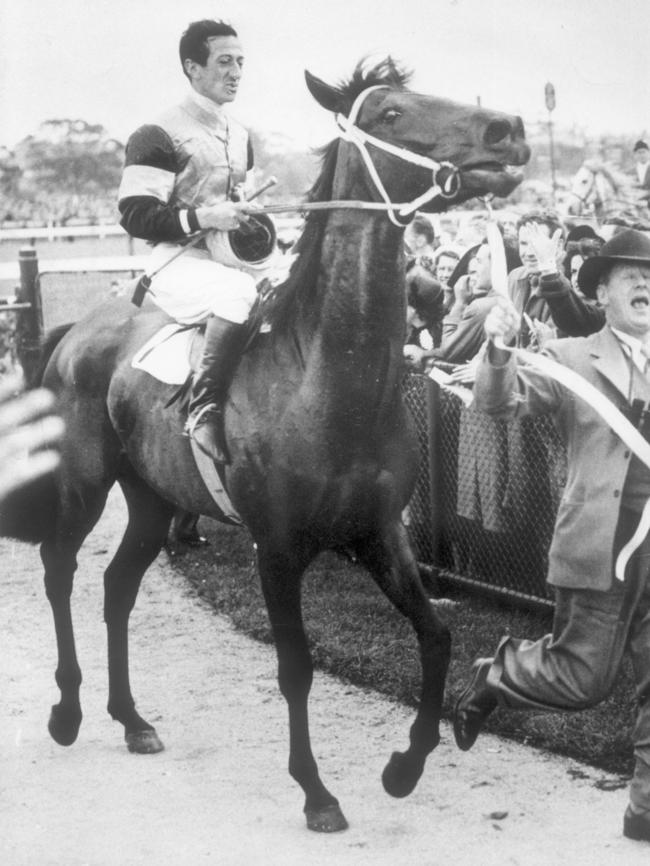 Rising Fast, winner of the Melbourne Cup in 1954.