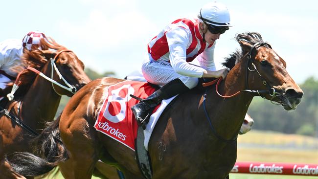 Victorian mare Snapped has been a big firmer in the final race at Rosehill. Picture: Getty Images