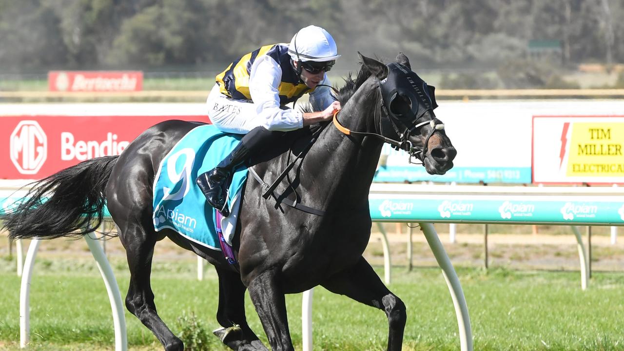 ‘Absolutely flying’ Matt Dunn eyes Q22, Melbourne Cup with import Sea