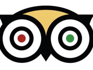 Tripadvisor smartphone app logo.