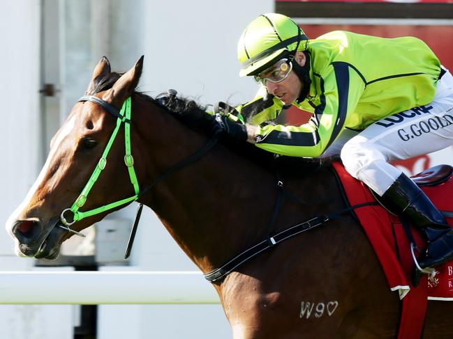 Queensland Cup Day Race. Race 4 won by Flamboyer ridden by Geoffrey Goold.  Pic Mark Calleja