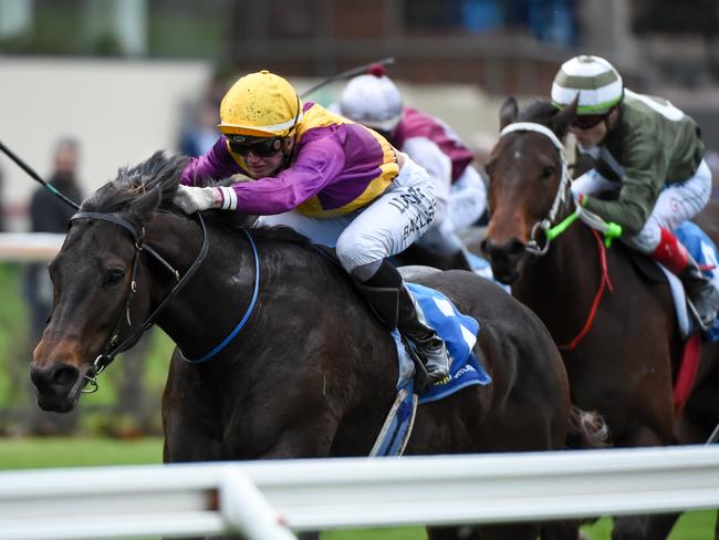 Has potential to go further: Chiavari gets the better of her rivals to salute at Moonee Valley. Picture: Getty Images